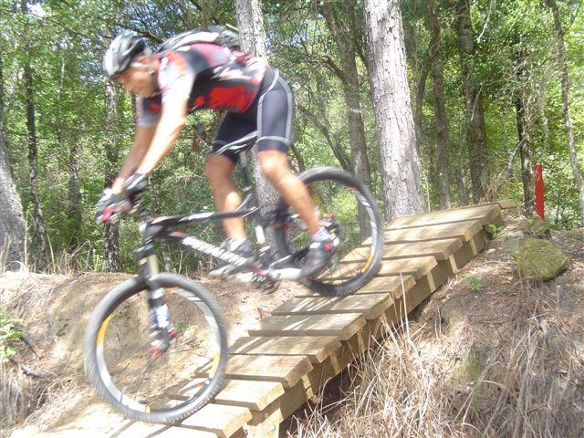 A mountain biker in a red and black jersey is jumping off a wooden bridge while riding on a trail surrounded by trees. The biker is focused and appears to be navigating the terrain with skill. Santos mountain bike trail.
