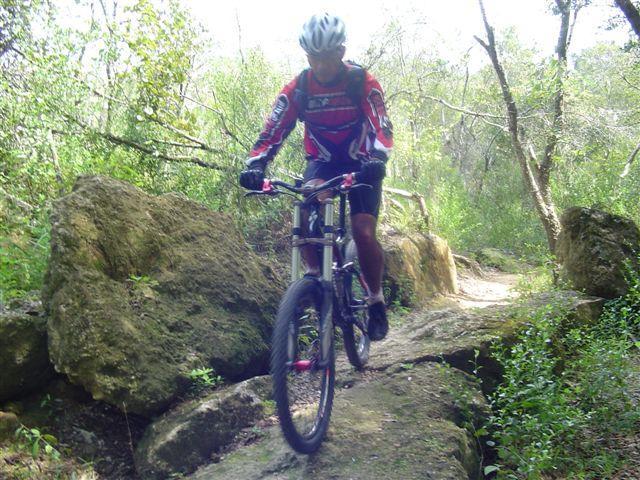 A mountain biker navigating a rocky path surrounded by lush greenery and trees. The cyclist is wearing a helmet and a red and black cycling jersey, showcasing an adventurous outdoor activity in nature. Santos mountain bike trail.