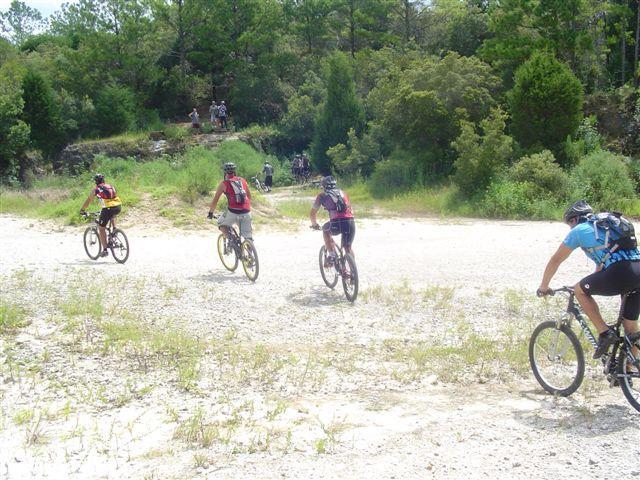 A group of mountain bikers riding along a dirt trail surrounded by greenery. The scene shows several cyclists in motion, with some standing in the background, enjoying the outdoor adventure. Pine trees and shrubs create a natural setting, emphasizing an active, recreational atmosphere. Santos mountain bike trail.