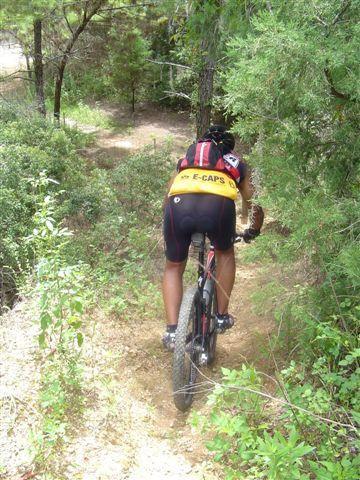 A person riding a mountain bike on a narrow, dirt trail surrounded by greenery and trees. The cyclist is wearing a yellow and black jersey and cycling shorts, navigating through the lush landscape. Santos mountain bike trail.