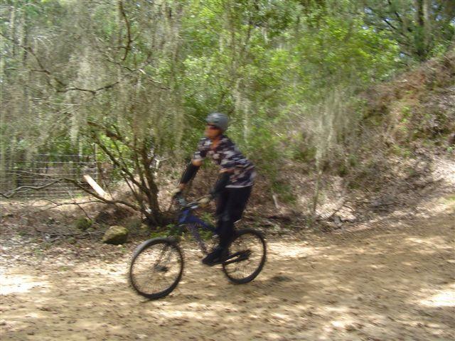 A person riding a blue bicycle on a dirt trail surrounded by lush greenery and trees. The image is slightly blurred, indicating movement. The rider is wearing a helmet and a patterned shirt. Santos mountain bike trail.