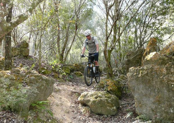 A mountain biker navigating a narrow trail surrounded by dense trees and large rocks in a wooded area. The cyclist is wearing a helmet and appears to be in motion along the rugged path. Santos mountain bike trail.