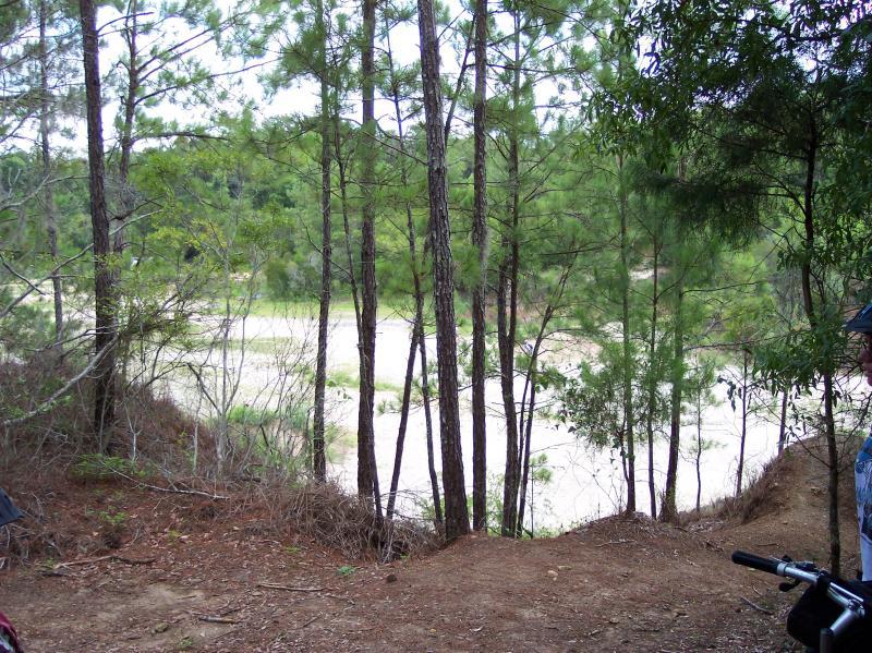 A forested landscape featuring tall pine trees, with a view of a river or stream in the background. The ground is earthy and somewhat rocky, suggesting a hiking or biking trail. Vegetation is lush, and the overall atmosphere is serene and natural. A person in casual attire stands to the right, possibly taking in the scenery. Santos mountain bike trail.
