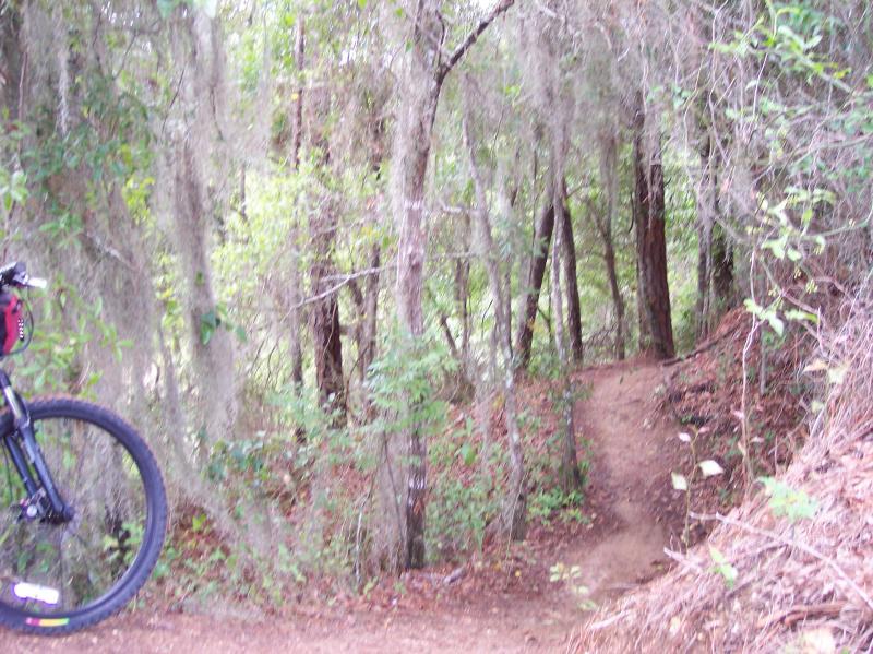 A winding dirt trail through a dense forest, with tall trees and green foliage surrounding it. A mountain bike is partially visible on the left side of the image, suggesting an outdoor adventure or biking route. Santos mountain bike trail.