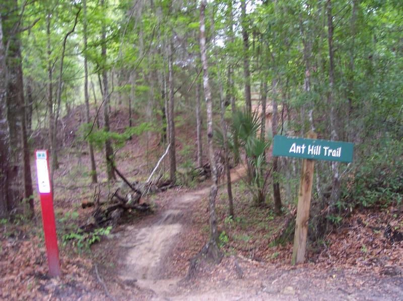 A wooded trail marked by a green sign labeled "Ant Hill Trail," with a red signpost visible in the foreground. The path winds through tall trees and lush greenery, indicating a natural hiking area. Santos mountain bike trail.