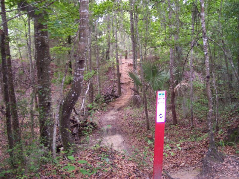 A dirt path winding through a dense forest with tall trees and green foliage. In the foreground, a red trail marker stands on the right side, providing guidance for hikers. The background shows a sloped area leading further into the woods. Santos mountain bike trail.