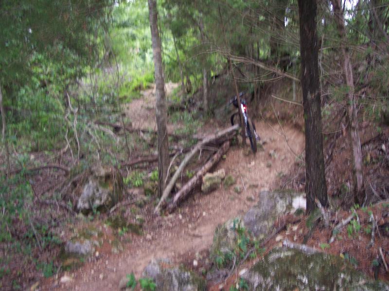 A blurred image of a mountain bike leaning against a tree on a narrow, rocky trail surrounded by dense greenery in a forested area. The path features scattered rocks and fallen branches, indicating a rugged outdoor biking environment. Santos mountain bike trail.
