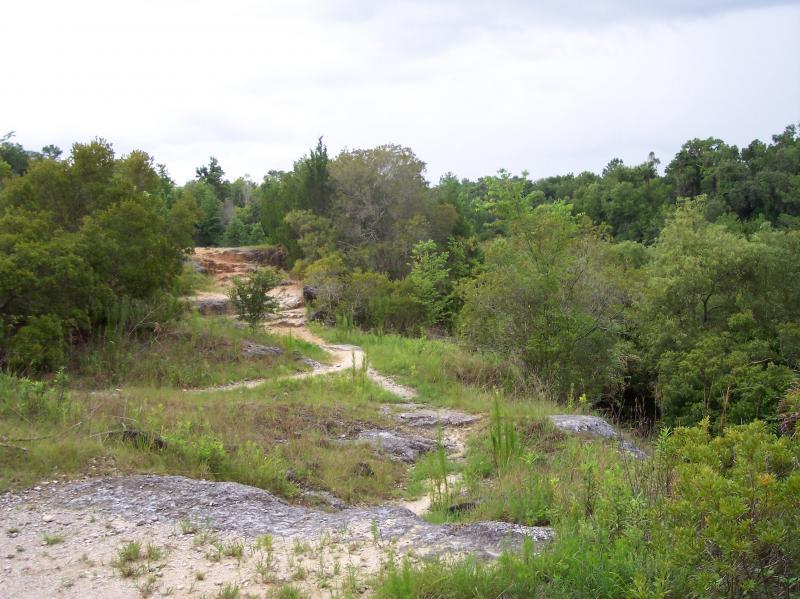 A scenic view of a natural landscape featuring a winding dirt path surrounded by green foliage and trees, with rocky terrain and cloudy skies in the background. Santos mountain bike trail.