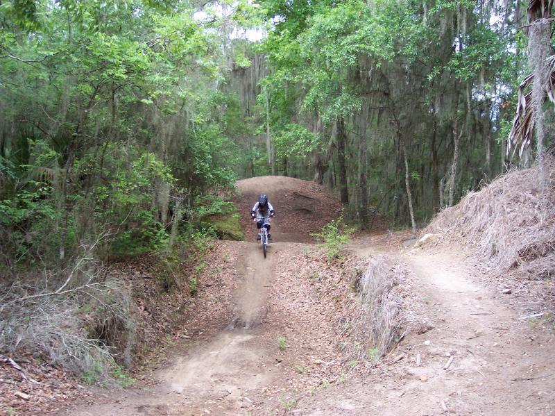 A mountain biker descending a dirt trail through a forest, approaching a small jump or ramp surrounded by trees and foliage. The bike is airborne as the rider navigates the terrain. Santos mountain bike trail.