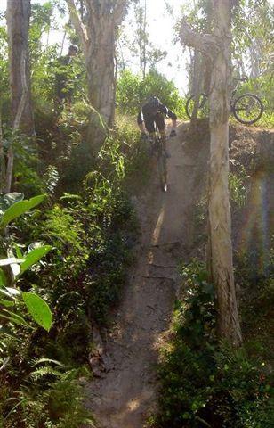 A mountain biker navigating a dirt trail down a steep slope surrounded by trees and greenery. Dust is rising from the trail as the biker descends, with another bicycle parked nearby. Sunlight filters through the foliage, creating a vibrant outdoor scene. Santos mountain bike trail.