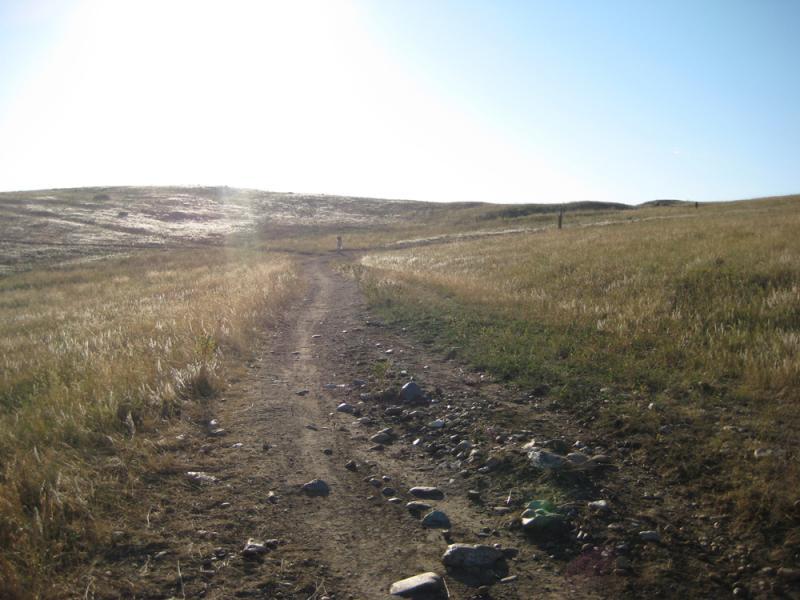 A winding dirt path leads through a grassy landscape under a bright sun, with scattered rocks along the trail and gentle hills in the background. Marshall Road Open Spaces mountain bike trail.