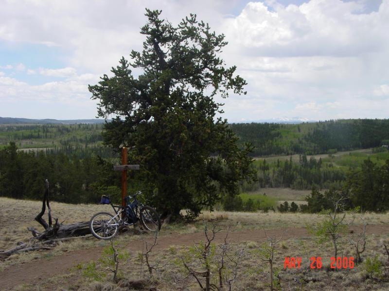 A mountain biking path with a bicycle leaning against a tree, overlooking a scenic landscape of rolling hills and greenery under a partly cloudy sky. A wooden cross is positioned near the tree, suggesting a memorial or marking a location. The image captures the natural beauty of the outdoors. Colorado Trail: Buffalo Creek To Lost Creek Wilderness Boundary mountain bike trail.