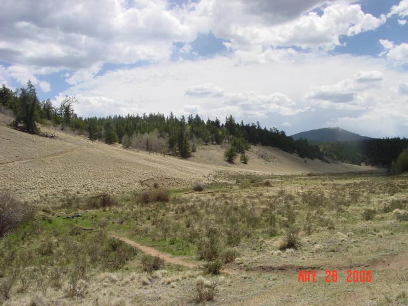 A scenic view of a hilly landscape featuring a grassy meadow with patches of shrubs and scattered trees. In the background, there are rolling hills under a partly cloudy sky, creating a peaceful natural setting. The image is dated May 26, 2006. Colorado Trail: Buffalo Creek To Lost Creek Wilderness Boundary mountain bike trail.