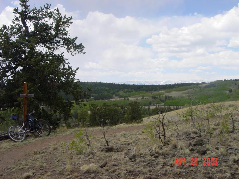 Scenic view from a hiking trail, featuring a dirt path winding through grassy terrain with sparse shrubs. A large tree stands to the left, and a wooden signpost can be seen nearby. Two bicycles are leaned against the tree, with rolling hills and a cloudy sky in the background. The landscape includes patches of trees and distant mountains. Colorado Trail: Buffalo Creek To Lost Creek Wilderness Boundary mountain bike trail.