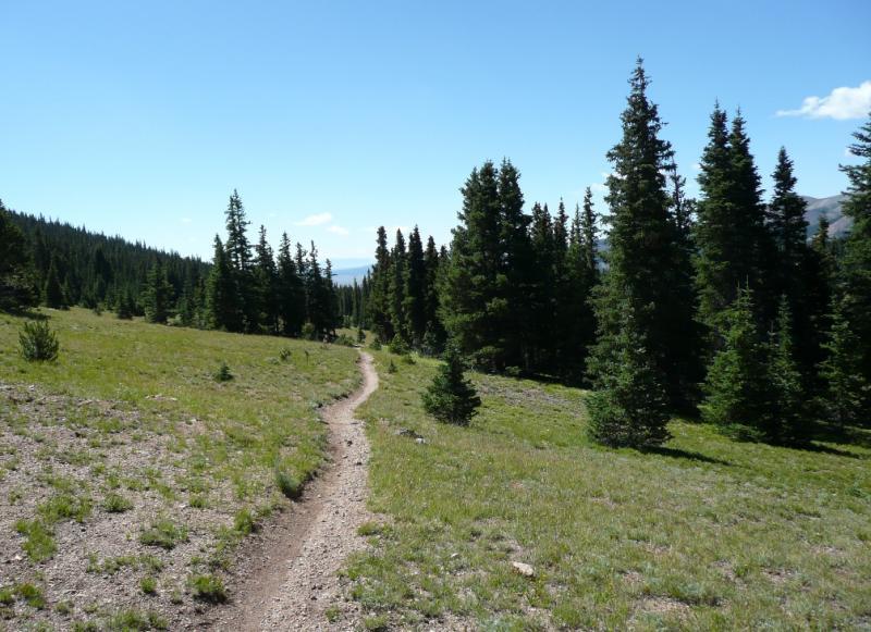 A winding dirt path leads through a grassy meadow surrounded by tall pine trees under a clear blue sky. The landscape features rolling hills in the background, suggesting a serene outdoor setting ideal for hiking or exploring nature. Colorado Trail: Kenosha Pass To Breckenridge mountain bike trail.