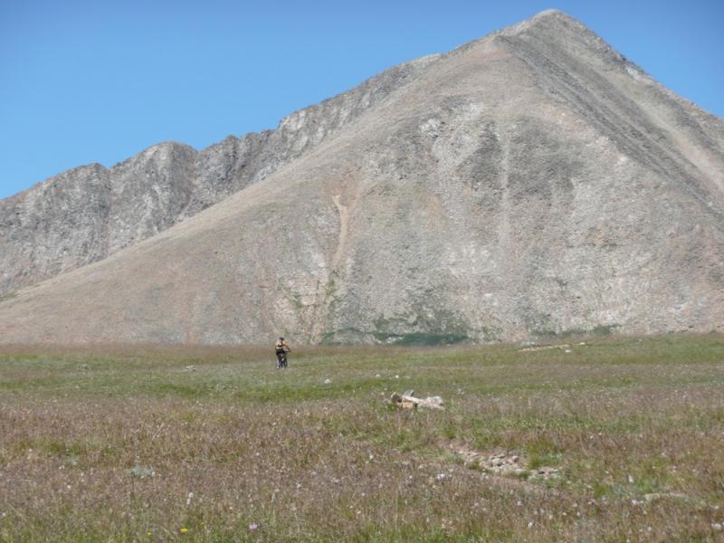 A lone person stands in a grassy field at the base of a large mountain, with a clear blue sky overhead. The mountain has a steep, rocky slope, and the landscape is dotted with wildflowers. Colorado Trail: Kenosha Pass To Breckenridge mountain bike trail.