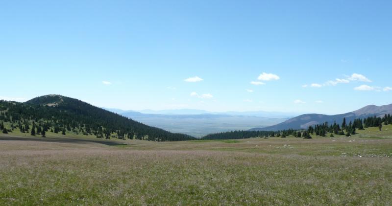 A scenic landscape featuring rolling green hills and a vast meadow under a clear blue sky, with distant mountains in the background and scattered trees throughout the grassland. Colorado Trail: Kenosha Pass To Breckenridge mountain bike trail.