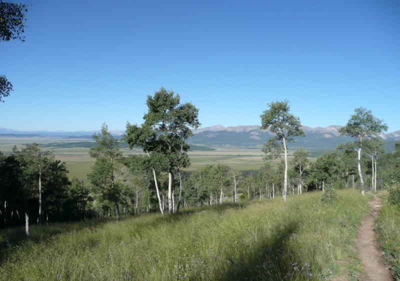 A scenic view of a valley framed by aspen trees, with rolling hills and mountains in the background under a clear blue sky. A dirt path winds through the grassy foreground, inviting exploration into the natural landscape. Colorado Trail: Kenosha Pass To Breckenridge mountain bike trail.