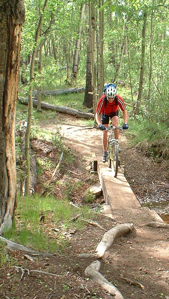 A mountain biker wearing a helmet and a red jersey rides on a narrow wooden bridge through a dense forest with green foliage and trees. The path is surrounded by natural elements, including grass and fallen branches. Colorado Trail: Kenosha Pass To Breckenridge mountain bike trail.