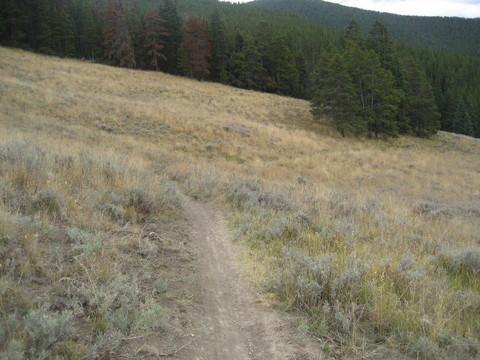 A dirt path winding through a grassy hillside, surrounded by sparse shrubs and trees in the background, with mountains visible in the distance. The scene conveys a tranquil natural landscape. Colorado Trail: Kenosha Pass To Breckenridge mountain bike trail.