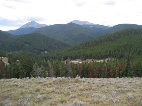 A scenic view of rolling green mountains with a foreground of grassy terrain. The landscape features a diverse range of trees, with some areas showing signs of autumn colors. In the background, distant peaks rise under a cloudy sky. Colorado Trail: Kenosha Pass To Breckenridge mountain bike trail.