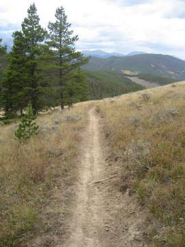 A dirt path winding through a grassy landscape, bordered by tall pine trees, with mountainous terrain visible in the distance under a cloudy sky. Colorado Trail: Kenosha Pass To Breckenridge mountain bike trail.