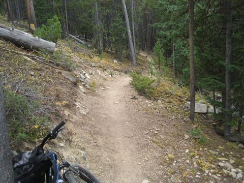 A narrow dirt trail winding through a forest, surrounded by tall trees and patches of greenery. A mountain bike is resting on the ground beside the trail, with rocks and dirt visible along the path. Colorado Trail: Kenosha Pass To Breckenridge mountain bike trail.