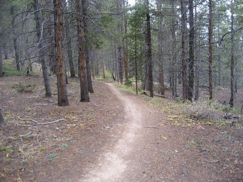 A winding dirt path running through a forest, surrounded by tall trees and patches of sparse vegetation. The ground is covered with a mix of pine needles and soft earth, creating a tranquil, natural setting. Colorado Trail: Kenosha Pass To Breckenridge mountain bike trail.