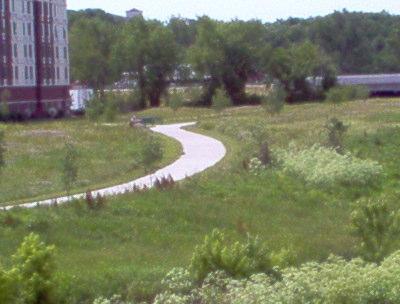A winding concrete pathway cuts through a lush, green landscape, with trees and shrubs surrounding it. In the background, a multi-story building is partially visible, set against a clear blue sky. Little Blue Trace mountain bike trail.