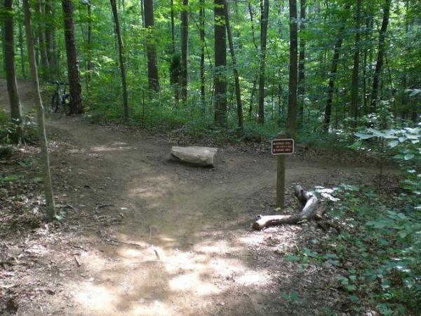 A forested trail intersection showing a dirt path splitting into two directions, with a large rock in the middle and a wooden sign indicating trail information. Surrounding trees are lush and green, creating a peaceful natural setting. Itusi @ Lake Norman State Park mountain bike trail.