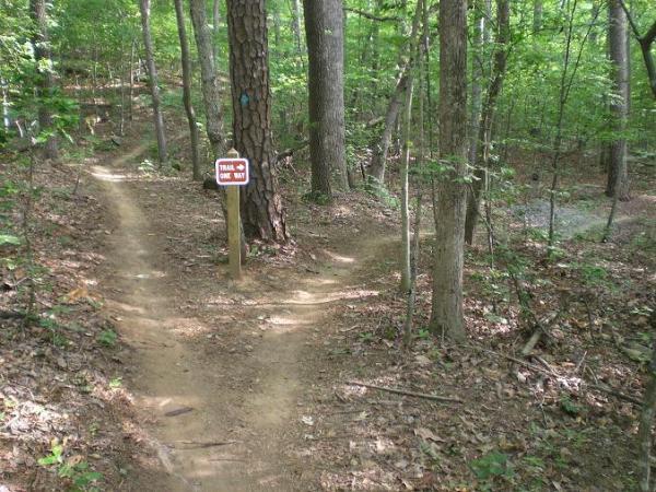 A dirt path splitting into two directions in a lush green forest, with a sign indicating "Trail One Way" placed on a tree beside the path. Sunlight filters through the leaves, illuminating the surroundings. Itusi @ Lake Norman State Park mountain bike trail.