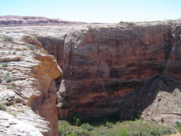 A breathtaking view of a large canyon with steep, colorful rock walls. The canyon features layered geological formations and stretches into the distance under a clear blue sky. Green vegetation is visible at the base of the canyon, contrasting with the rocky terrain. Itchy And Scratchy mountain bike trail.