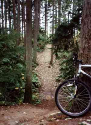 A mountain bike rests near a wooded area, with tall trees and lush green foliage surrounding a narrow, leaf-covered path leading deeper into the forest. Big Finn Hill mountain bike trail.