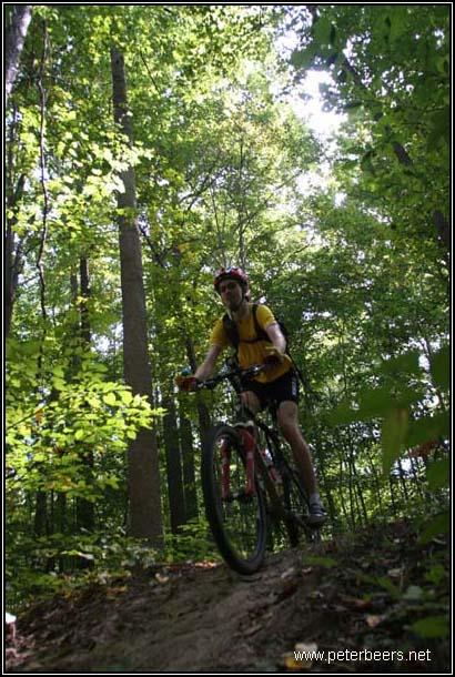 A mountain biker riding on a dirt trail through a forest with tall trees and lush green foliage. The rider is wearing a helmet and a yellow shirt, focused on navigating the terrain. Sunlight filters through the leaves above, creating a serene outdoor atmosphere. Rosaryville State Park mountain bike trail.