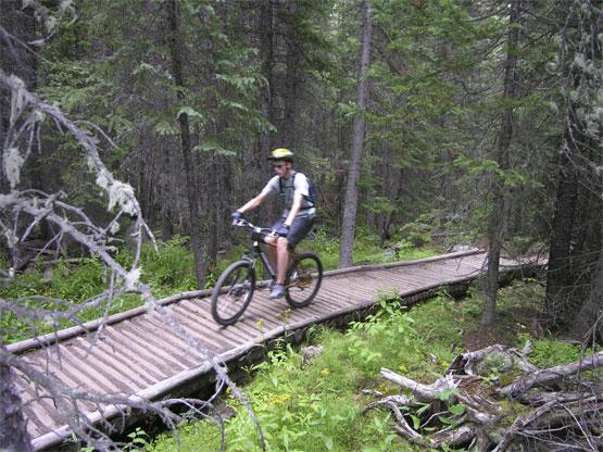 A person riding a mountain bike on a wooden boardwalk path, surrounded by dense forest greenery. The scene captures a natural, outdoor setting with trees and shrubs, emphasizing an active lifestyle in nature. Peaks Trail mountain bike trail.