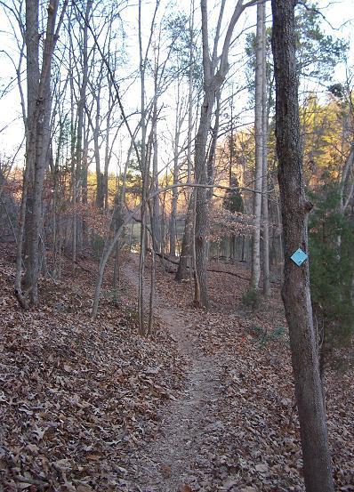 A winding dirt path through a wooded area, surrounded by bare trees and fallen leaves, with a blue trail marker visible on a tree trunk. Soft sunlight filters through the branches, illuminating the landscape. Itusi @ Lake Norman State Park mountain bike trail.