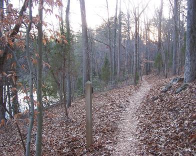 A winding dirt path through a forest with bare trees and fallen leaves, leading towards a body of water in the background, under a soft, fading light. Itusi @ Lake Norman State Park mountain bike trail.