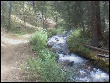 A tranquil forest scene featuring a winding dirt path alongside a flowing stream. Lush greenery lines the banks of the stream, while tall trees provide dappled shade in the background. The overall atmosphere is serene and natural, suggesting a peaceful hiking or walking destination. Peaks Trail mountain bike trail.