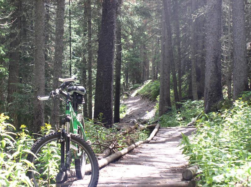A mountain bike positioned on a narrow trail winding through a dense forest. Tall trees are visible on either side, with lush green foliage along the path. Sunlight filters through the branches, creating a serene outdoor atmosphere. Peaks Trail mountain bike trail.