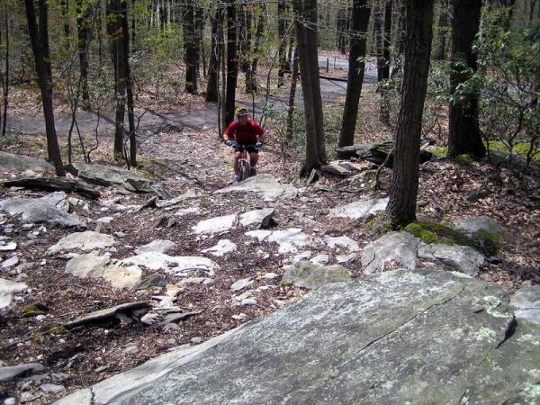 A mountain biker in a red shirt navigates a rocky descent through a forested area. The trail is lined with large boulders and patches of leaves, surrounded by tall trees. In the background, a faint road is visible through the trees. Gambrill State Park mountain bike trail.