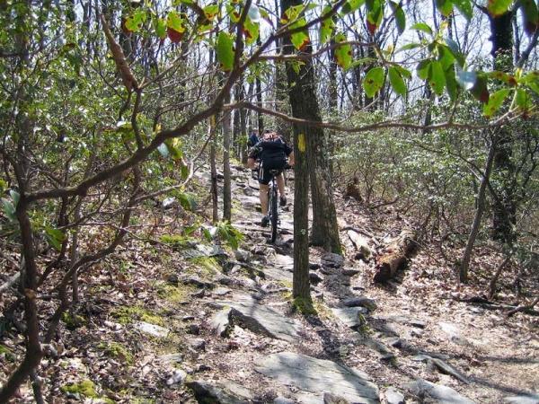 A person hiking up a rocky trail surrounded by trees and greenery, with sunlight filtering through the leaves in a natural setting. Gambrill State Park mountain bike trail.