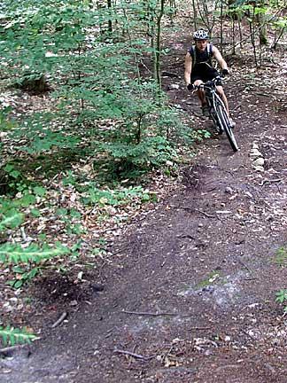 A person riding a mountain bike on a dirt trail surrounded by dense trees and foliage. Bradbury Mt State Park mountain bike trail.