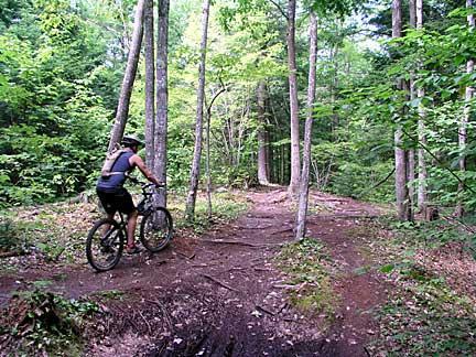 A cyclist navigating through a wooded trail, surrounded by lush green trees and underbrush, with a path that forks in two directions. Bradbury Mt State Park mountain bike trail.