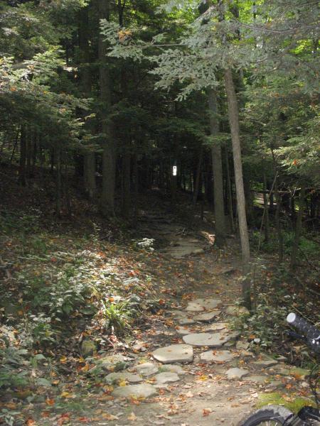 A serene forest path winding through trees, with sunlight filtering through the leaves. The trail is lined with stone slabs and scattered autumn leaves, leading deeper into the woods. Highland Forest mountain bike trail.