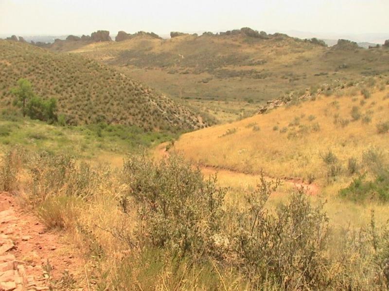 A scenic view of rolling hills and grassy terrain, featuring a dirt path winding through the landscape. The background showcases rocky formations and patches of green vegetation among the dry grass, under a clear sky. Devil's Backbone mountain bike trail.