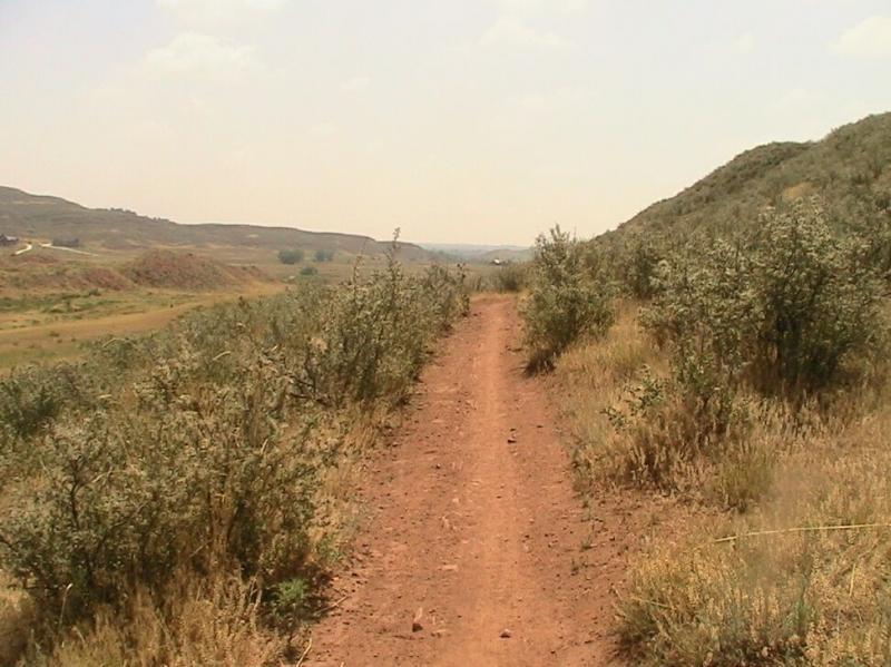 A dirt trail winding through a grassy landscape with sparse shrubs, surrounded by hills under a partly cloudy sky. Devil's Backbone mountain bike trail.