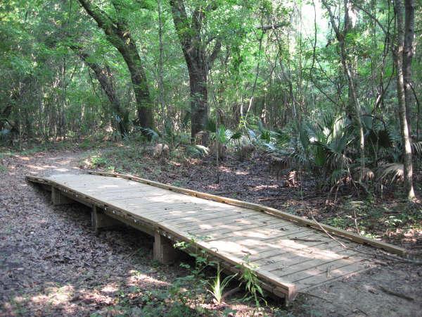A wooden boardwalk winding through a lush, green forest. Surrounding trees and vegetation create a serene, natural atmosphere. Leaves and underbrush line the path, indicating a well-trodden trail leading deeper into the woods. Lake Fausse Pointe Trail System mountain bike trail.