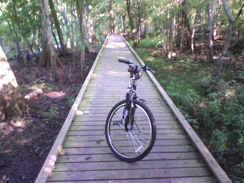 A black mountain bike is parked on a wooden boardwalk surrounded by lush green trees and foliage, leading into a serene forest path. Lake Fausse Pointe Trail System mountain bike trail.