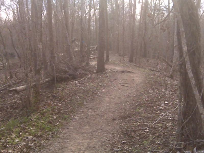 A narrow dirt path winding through a wooded area with bare trees and scattered leaves on the ground. The scene is lightly lit, suggesting an early morning or late afternoon ambiance. Lake Fausse Pointe Trail System mountain bike trail.