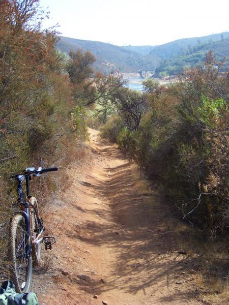 A mountain bike parked on a dirt trail surrounded by shrubs and trees, leading to a scenic view of a lake and hills in the background. The trail is slightly winding, illuminated by bright sunlight. Salmon Falls: Sweetwater Loop mountain bike trail.